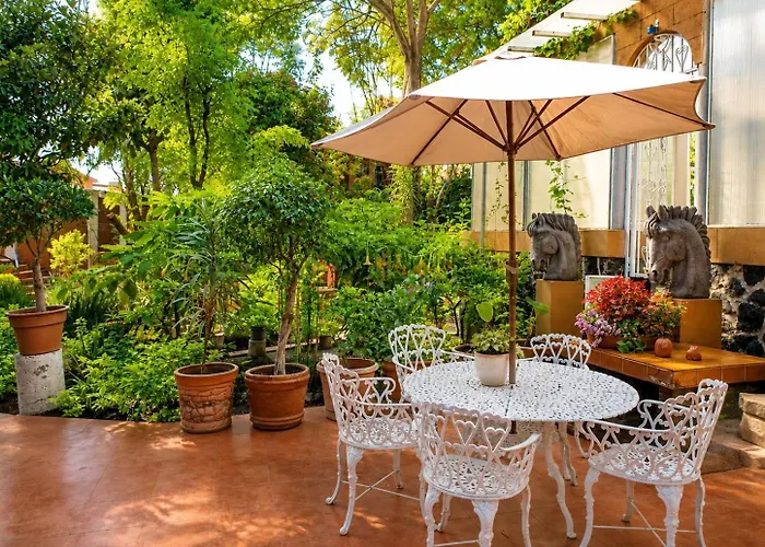 Appartement El Jardín Romántico En Ciudad De Mexico